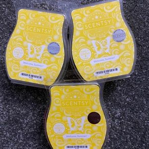 Welcome summer new scentsy bars 3 bundle